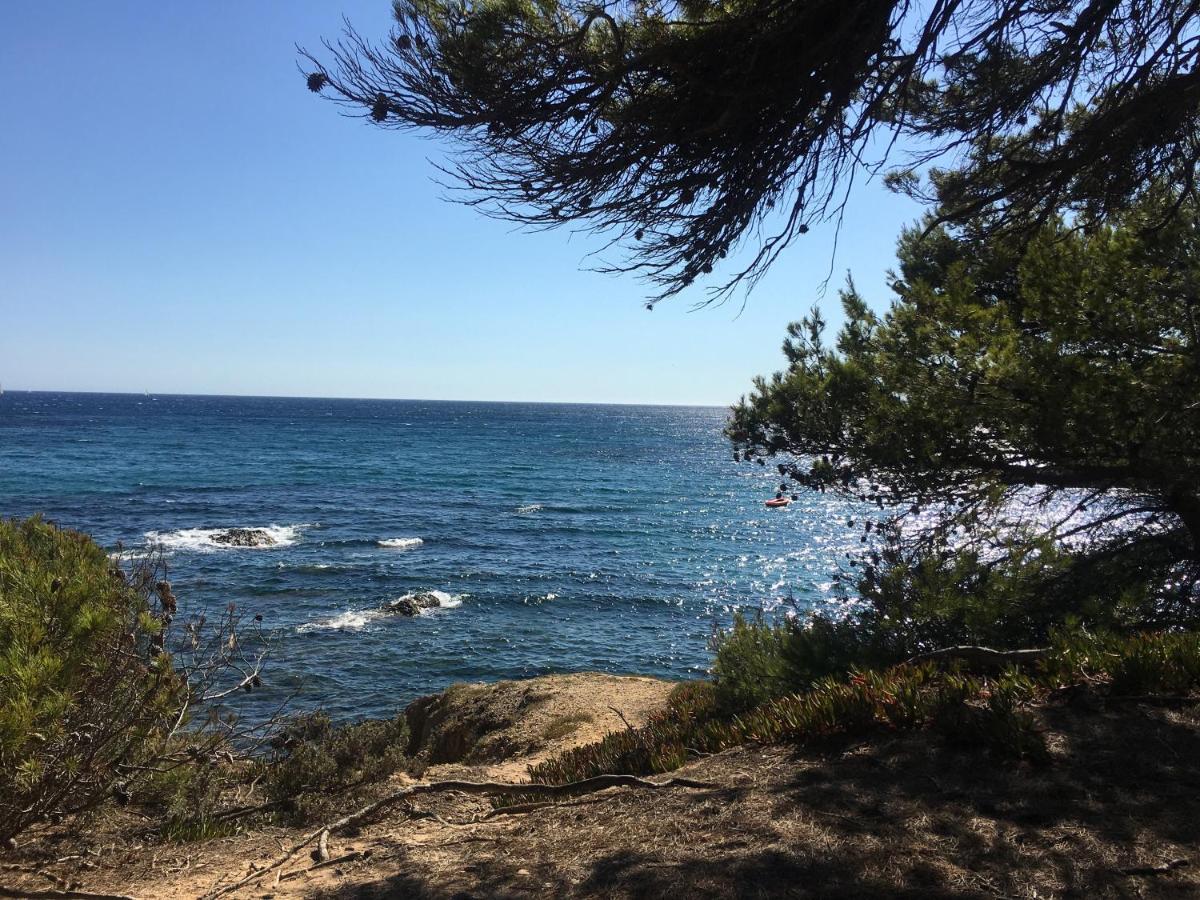 La Provence Authentique A 30 Minutes Des Plages Collobrieres Ngoại thất bức ảnh
