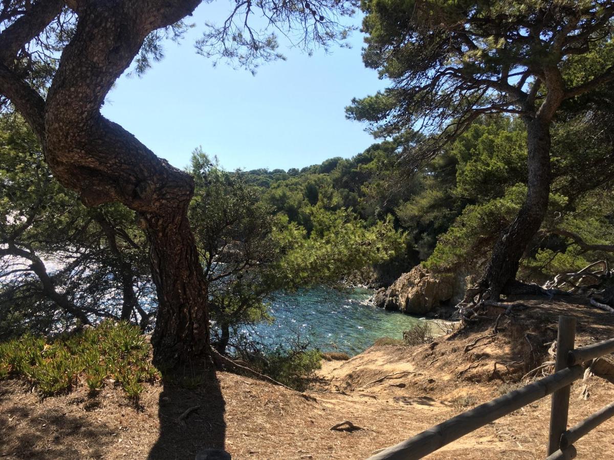 La Provence Authentique A 30 Minutes Des Plages Collobrieres Ngoại thất bức ảnh